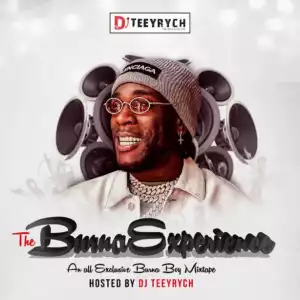 DJ Teeyrych - The Burnaboy Experience (Mix)